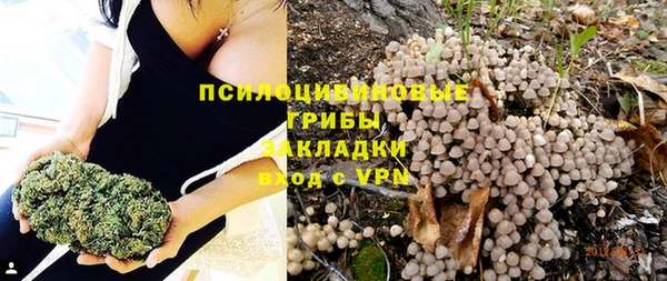 МДПВ Абаза