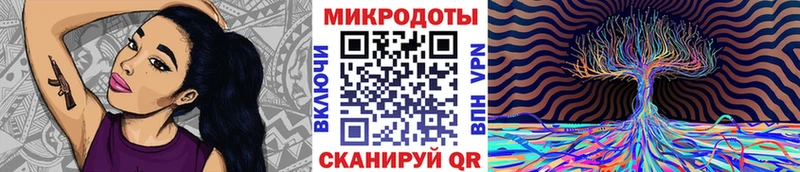 купить закладку  Елизаветинская  Псилоцибиновые грибы мухоморы 